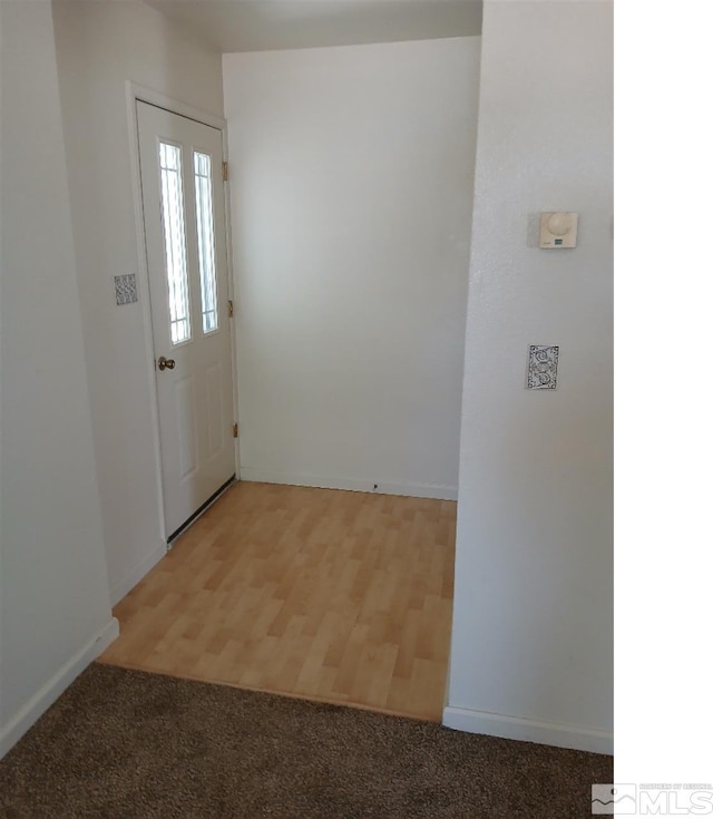 foyer entrance featuring wood-type flooring