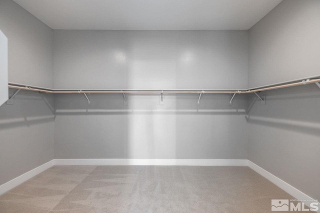 spacious closet with light colored carpet