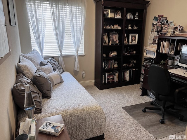 bedroom with carpet flooring