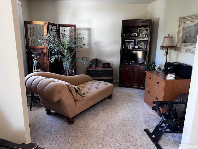 living room featuring carpet flooring