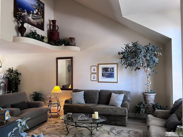 living room with vaulted ceiling and wood-type flooring