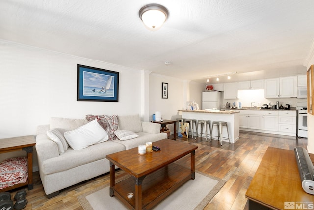 living room with sink, hardwood / wood-style floors, and crown molding