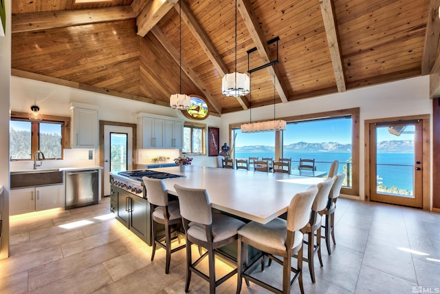 kitchen with stainless steel appliances, plenty of natural light, high vaulted ceiling, and white cabinetry