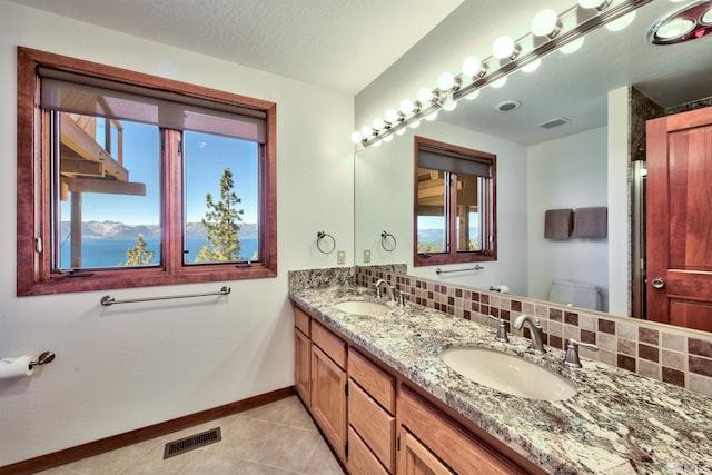 bathroom featuring vanity, toilet, tasteful backsplash, and a wealth of natural light