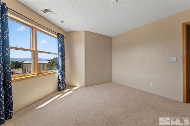 spare room featuring carpet flooring