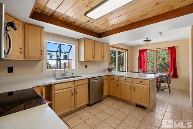 kitchen featuring stainless steel appliances, a raised ceiling, sink, and kitchen peninsula