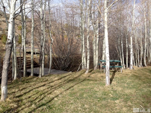 view of yard with a wooden deck