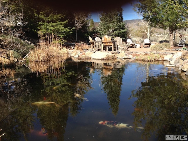 view of water feature