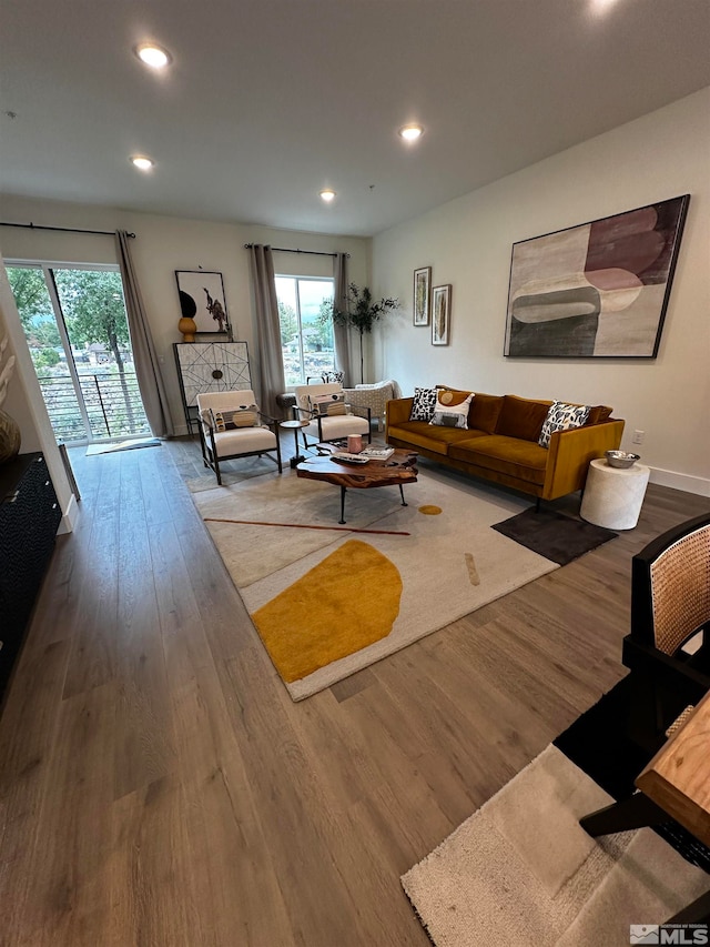 living room featuring hardwood / wood-style floors