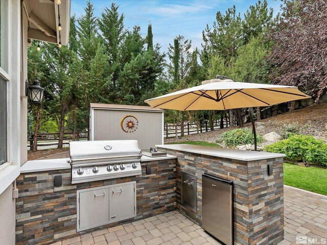 view of patio with area for grilling and an outdoor kitchen