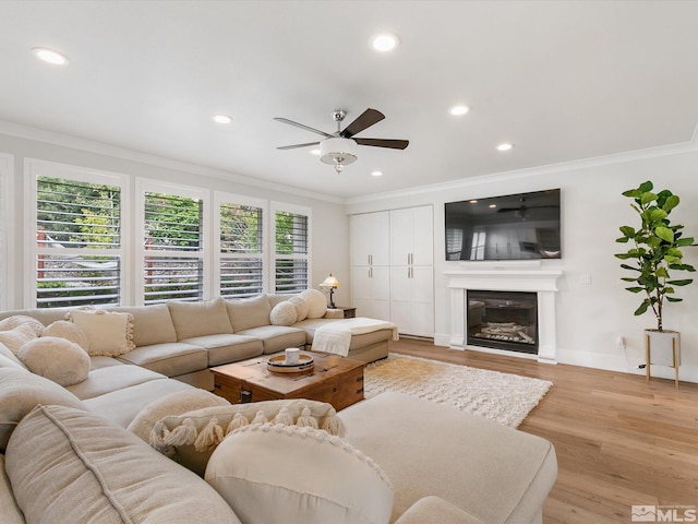 living room featuring ceiling fan, ornamental molding, and light hardwood / wood-style floors