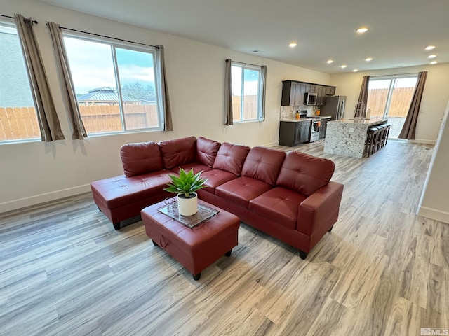 living room with light hardwood / wood-style flooring