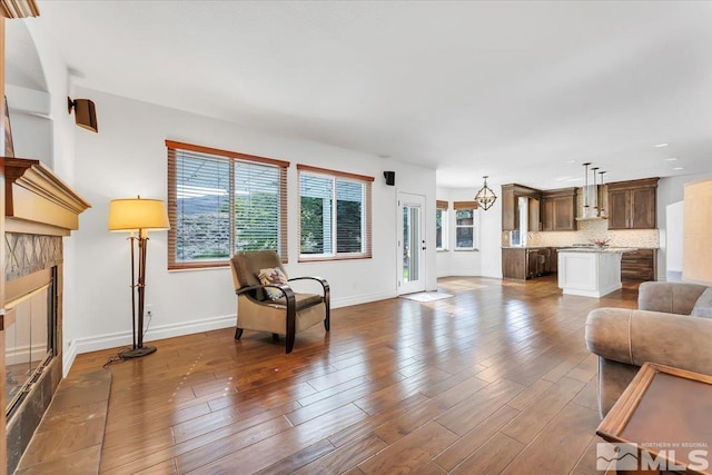 living room featuring a fireplace and dark wood-type flooring