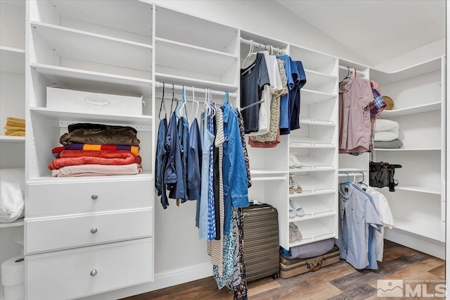 walk in closet with vaulted ceiling and dark wood-type flooring