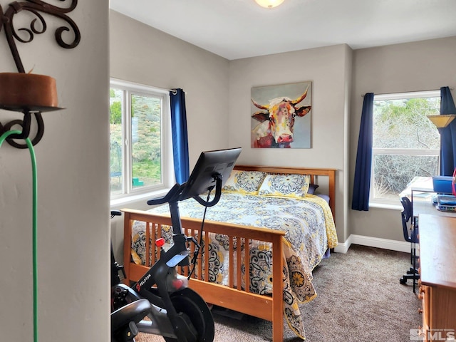 bedroom featuring carpet flooring