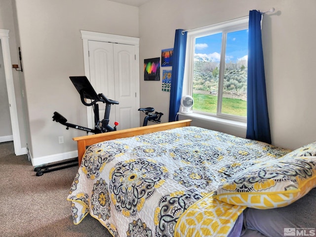 carpeted bedroom featuring a closet