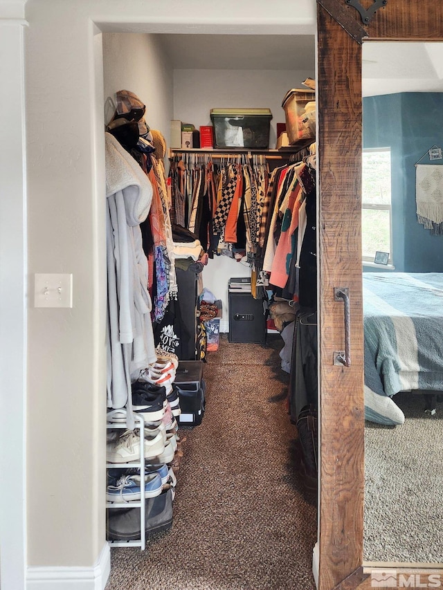 spacious closet with carpet flooring