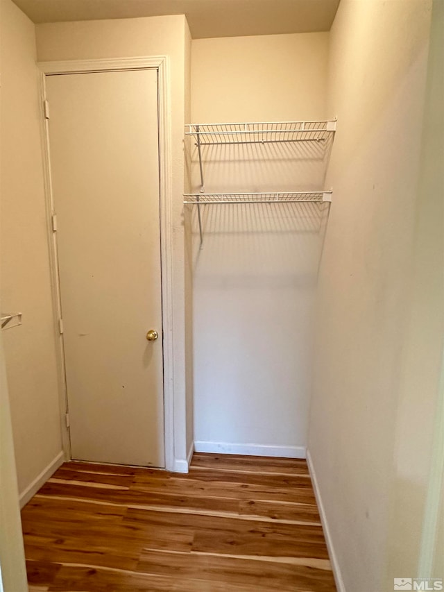 spacious closet featuring wood-type flooring