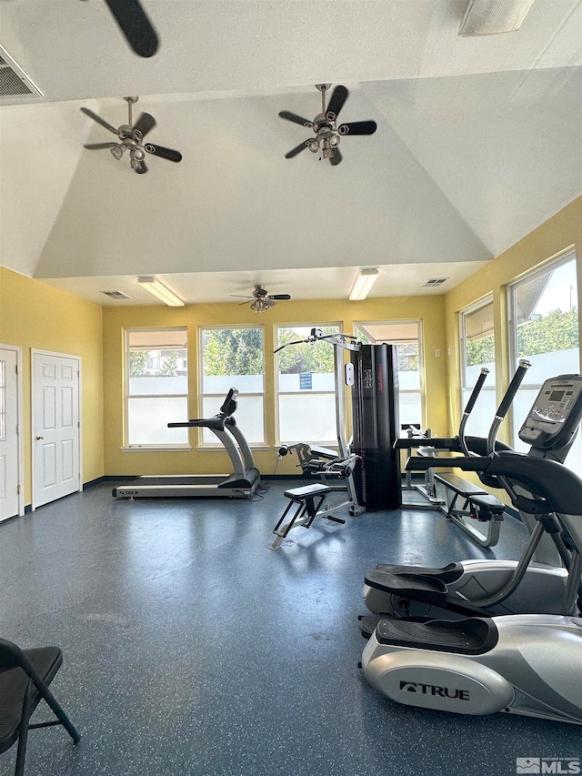 exercise room with a textured ceiling, a wealth of natural light, and lofted ceiling