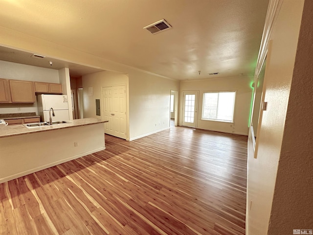 unfurnished living room with hardwood / wood-style floors, crown molding, and sink