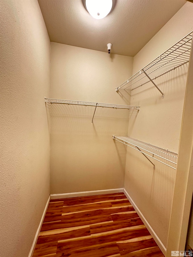 spacious closet featuring wood-type flooring