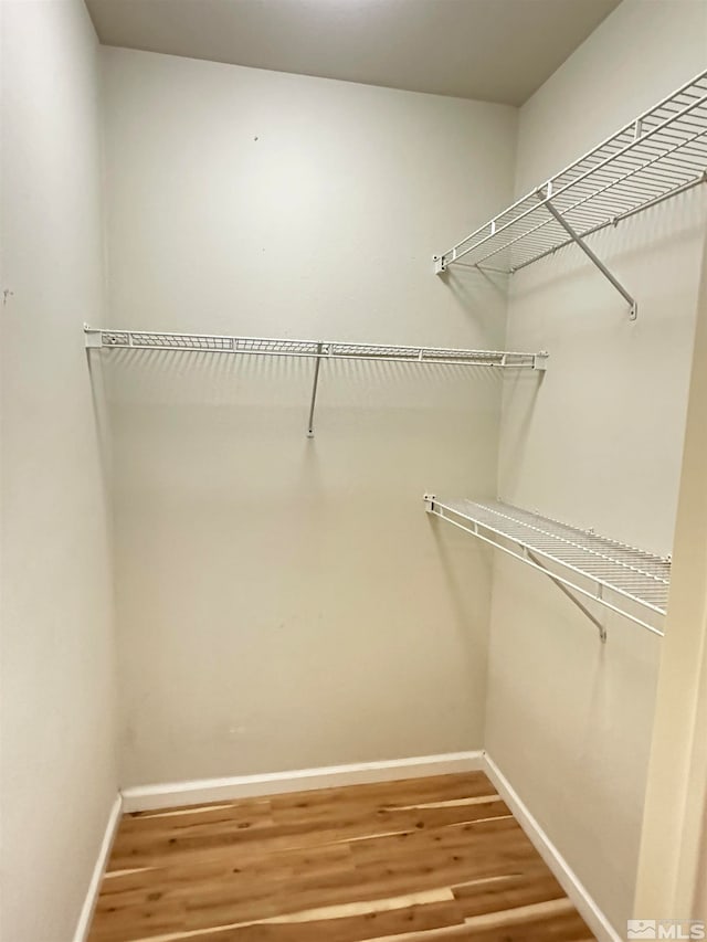 spacious closet with hardwood / wood-style flooring