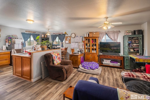 living room featuring wood-type flooring, ceiling fan, sink, and a textured ceiling