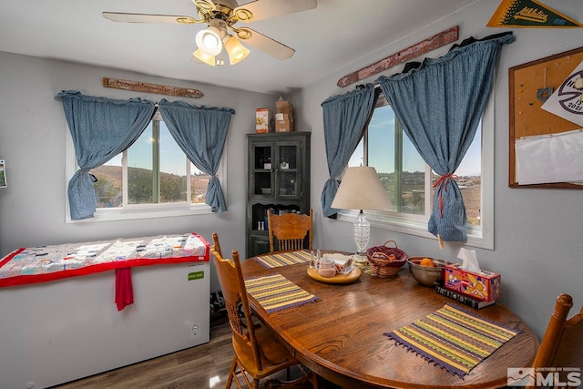 dining room with ceiling fan and hardwood / wood-style floors