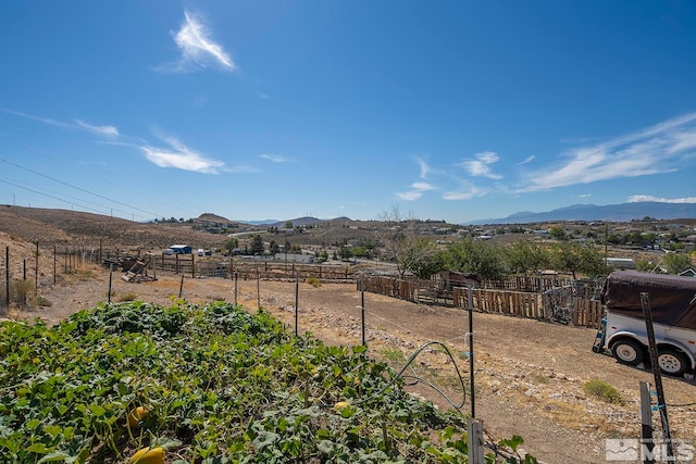 view of yard with a mountain view and a rural view