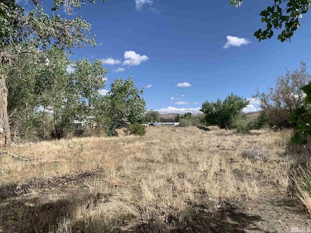 Listing photo 3 for 698 Jennys Ln, Fernley NV 89408