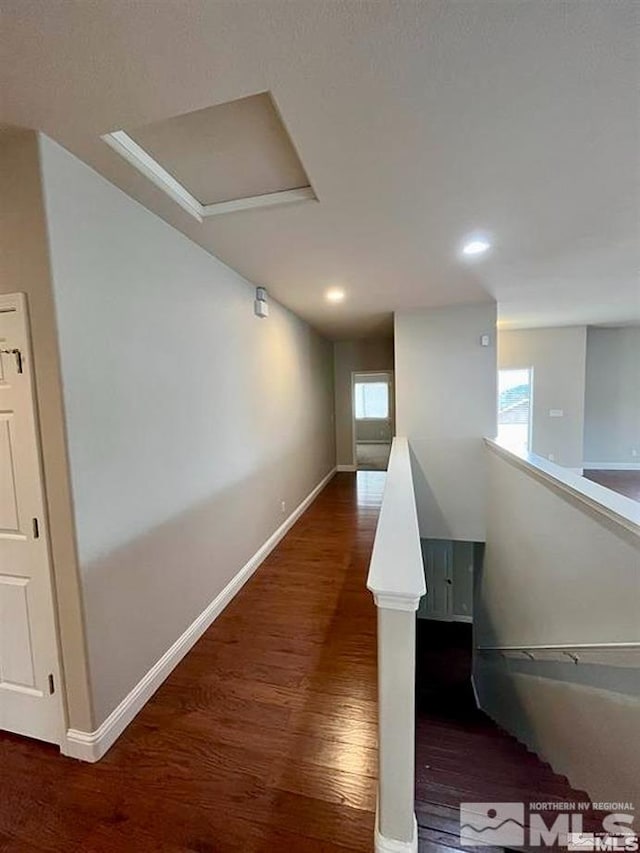 corridor featuring a wealth of natural light and dark hardwood / wood-style flooring