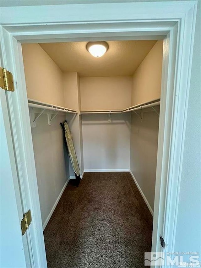 spacious closet featuring carpet flooring