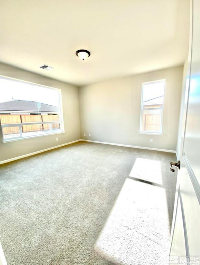 spare room with carpet floors and a wealth of natural light