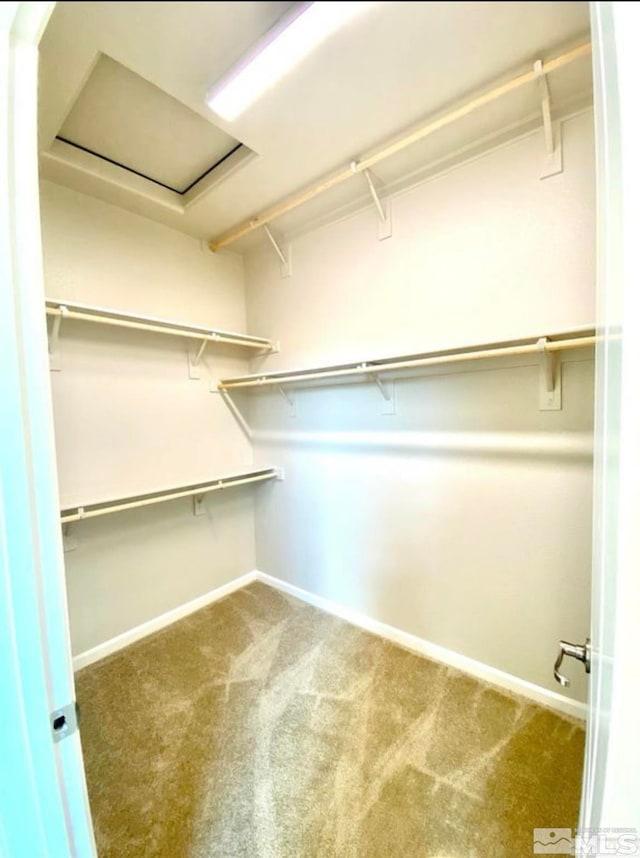 spacious closet with carpet floors