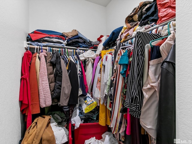 view of spacious closet