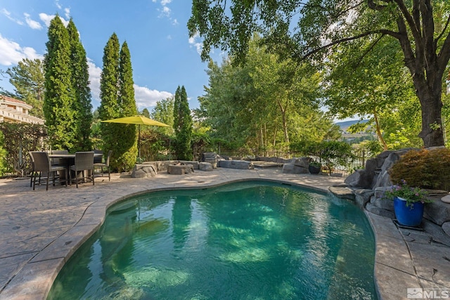 view of pool featuring a patio