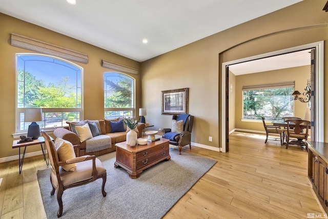 living room featuring light hardwood / wood-style floors and plenty of natural light