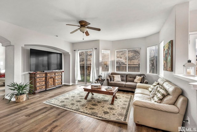 living room with ceiling fan and hardwood / wood-style floors