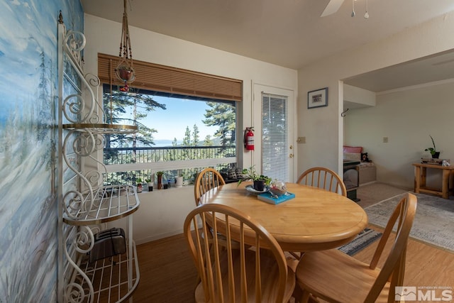 dining room featuring ceiling fan and hardwood / wood-style flooring