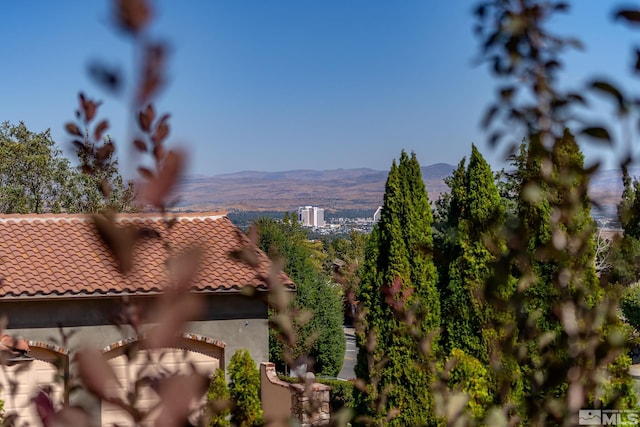 property view of mountains