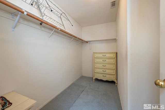 spacious closet with light carpet