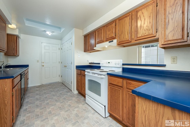 kitchen with white electric stove, stainless steel dishwasher, and sink