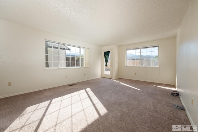 carpeted spare room with a textured ceiling