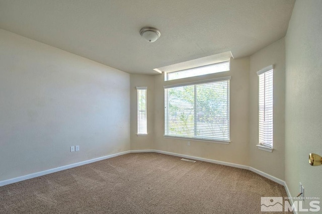 unfurnished room featuring carpet floors