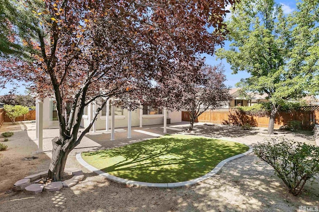 view of yard with a patio area