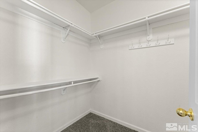 walk in closet with carpet