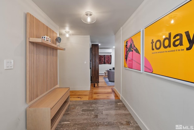 mudroom with dark hardwood / wood-style flooring