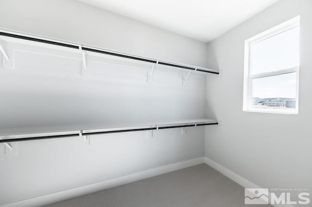 walk in closet featuring carpet flooring