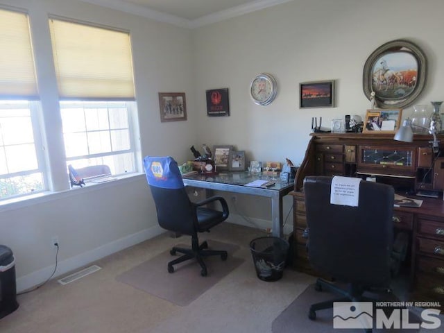 carpeted office space featuring ornamental molding