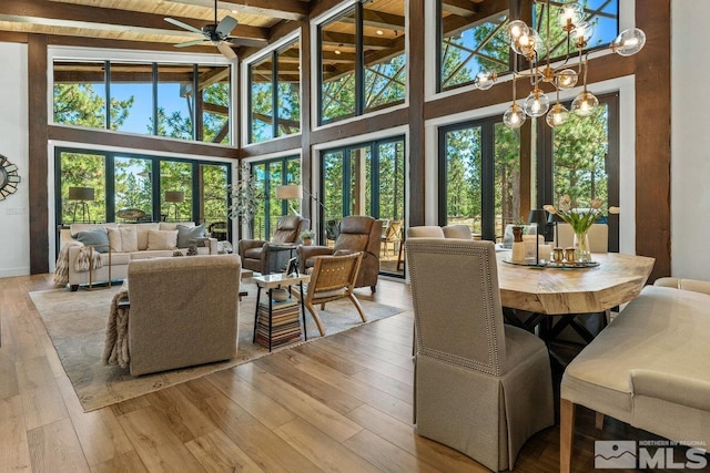 dining room with ceiling fan with notable chandelier, beam ceiling, light hardwood / wood-style flooring, and a healthy amount of sunlight